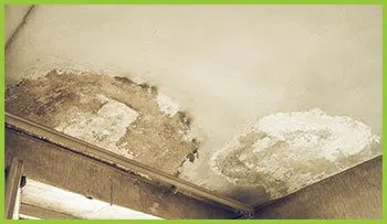 Palm Beach Restoration Company Palm Beach, FL 561-370-6476 - abt-page-wgr-34